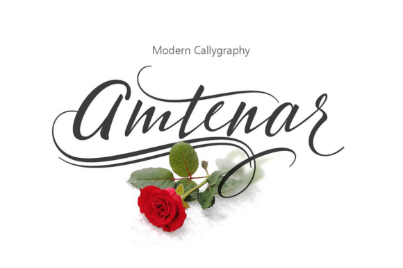 Amtenar: A Stylish Script Font for Elegant Editorial Design