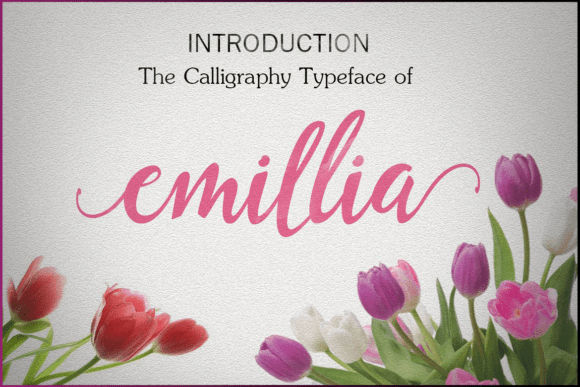 Emillia Typeface for High-Impact Campaigns