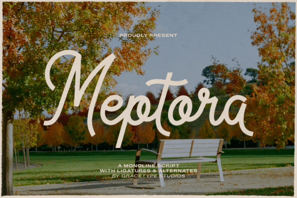 Meptora: A Monoline Script Typeface for Modern Editors
