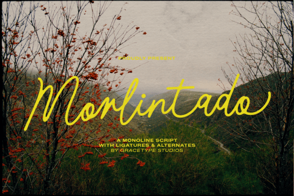 Morlintado Font Review: Elegant Script for Designers