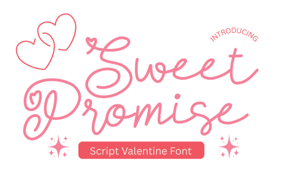 Sweet Promise Script Font for Small Business Branding