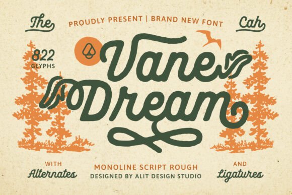 Vane Dream Typeface for Small Business Branding